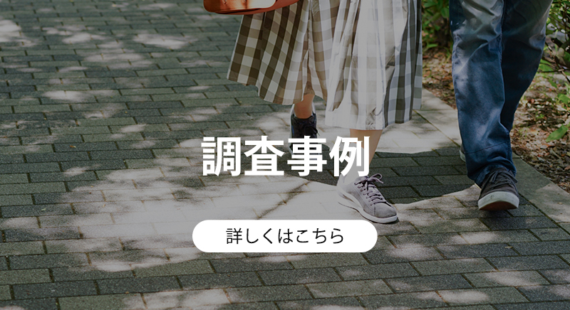 調査事例
